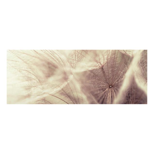 Glass print - Detailed Dandelion Macro Shot With Vintage Blur Effect