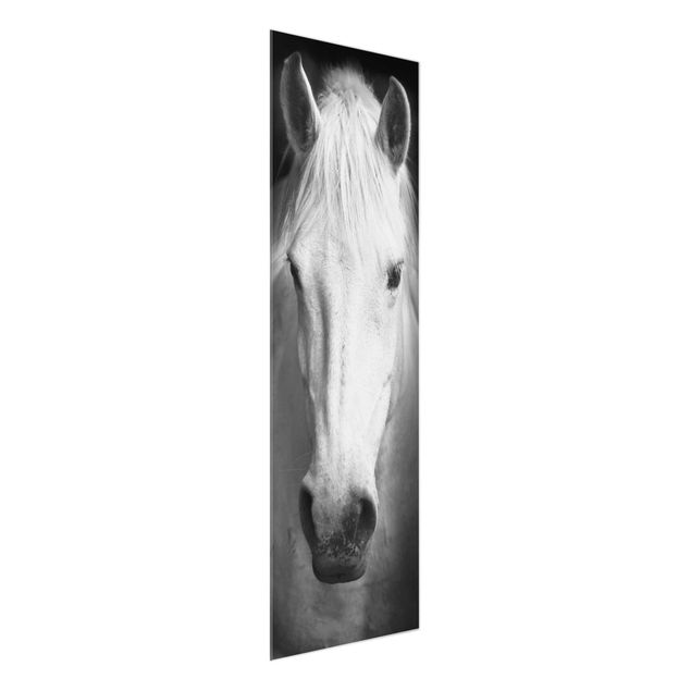 Glass print - Dream Of A Horse
