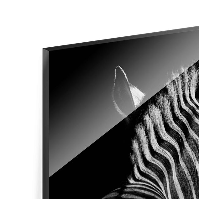 Glass print - Dark Zebra Silhouette