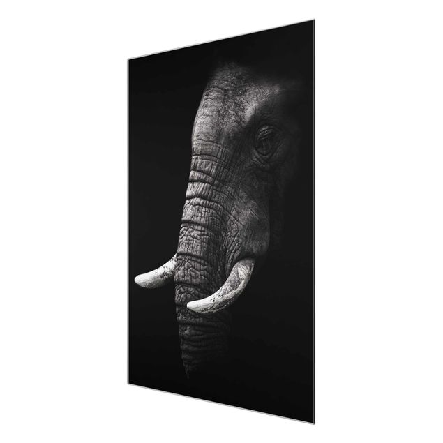 Glass print - Dark Elephant Portrait