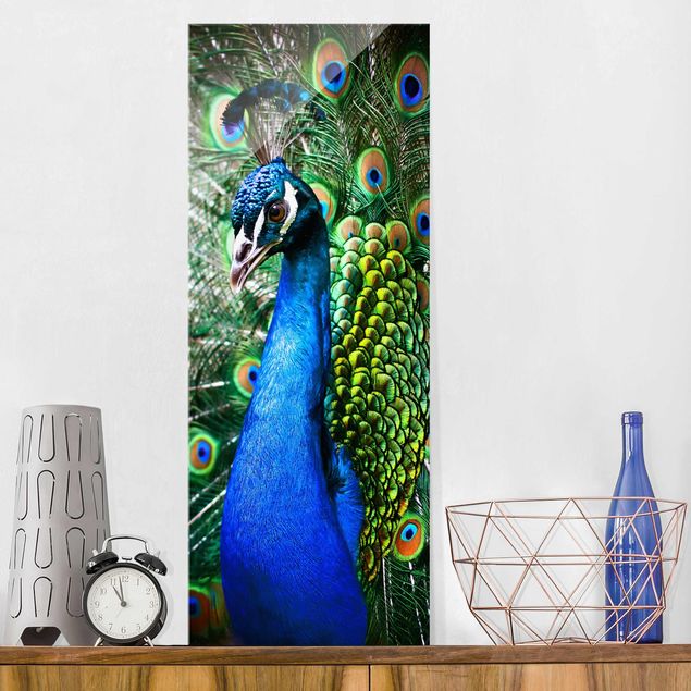 Magnettafel Glas Noble Peacock