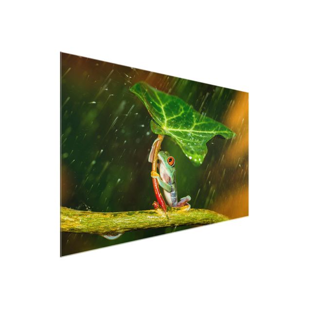 Glass print - Frog In The Rain