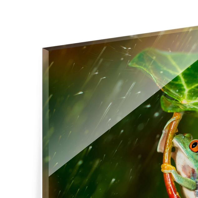 Glass print - Frog In The Rain