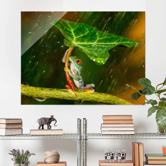 Magnettafel Glas Frog In The Rain
