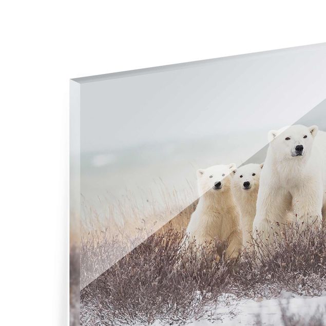 Glass print - Polar Bear And Her Cubs