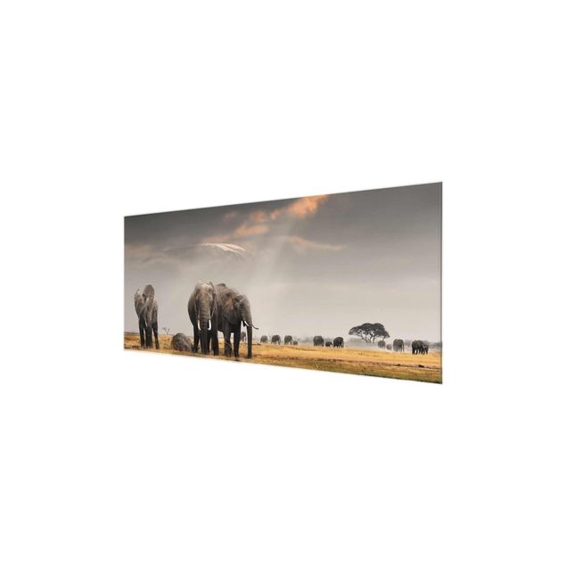 Glass print - Elephants in the Savannah