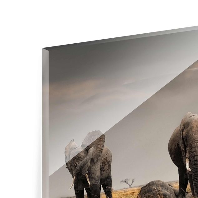 Glass print - Elephants in the Savannah