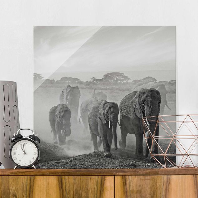 Glas Magnettafel Herd Of Elephants