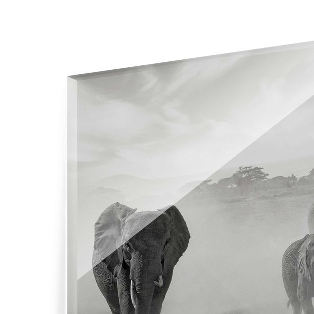 Glass print - Herd Of Elephants