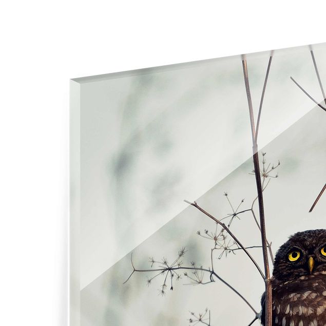 Glass print - Owl In The Winter