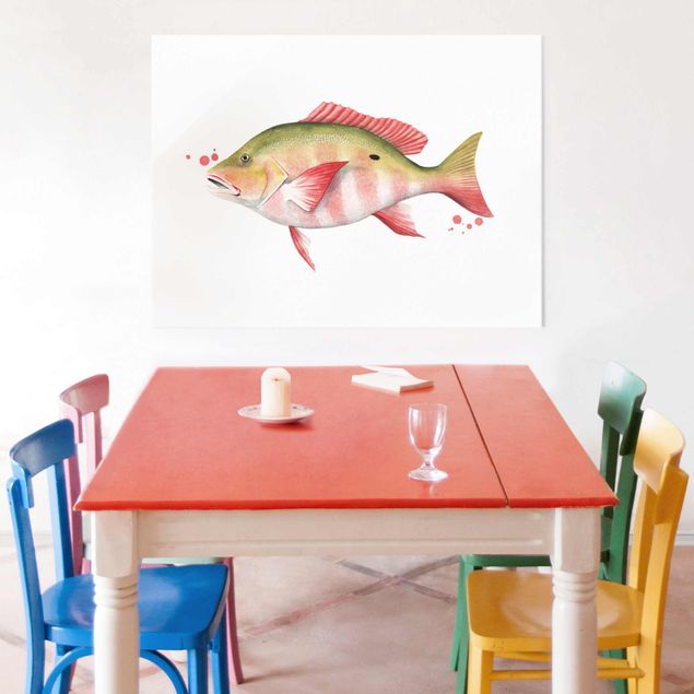 Glass print - Color Catch - Northern Red Snapper