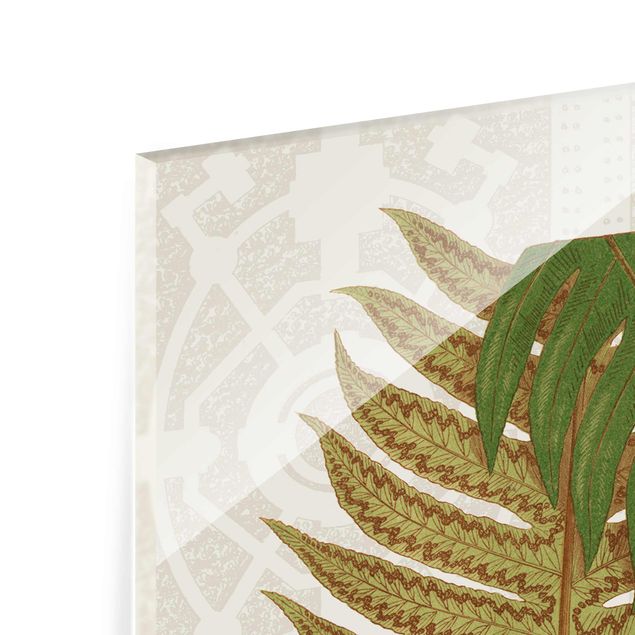 Glass print - Ferns In The Garden II