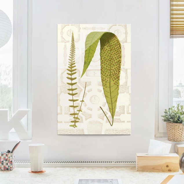 Glass print - Ferns Of The Garden III