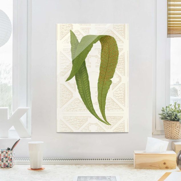 Glass print - Ferns Of The Garden IV