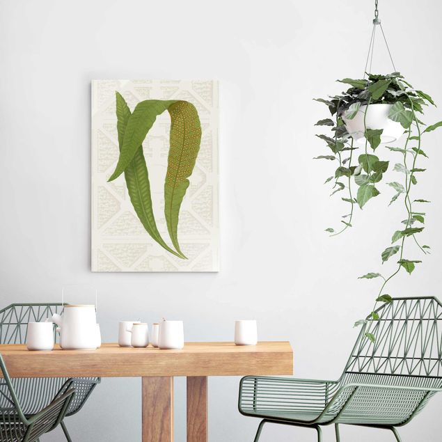 Glass print - Ferns Of The Garden IV
