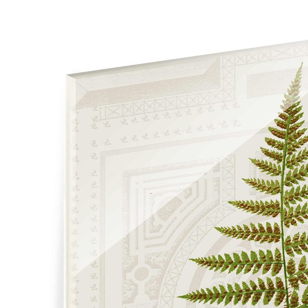 Glass print - Ferns Of The Garden V