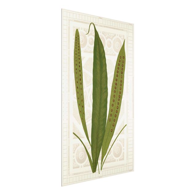 Glass print - Ferns Of The Garden VI