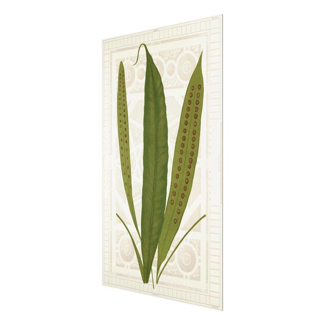 Glass print - Ferns Of The Garden VI