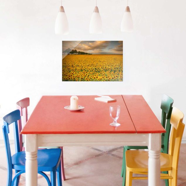 Glass print - Field With Sunflowers