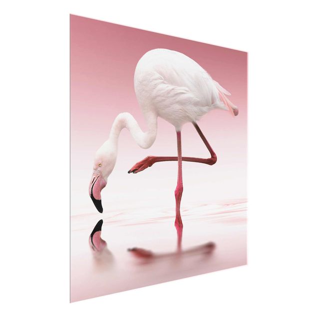 Glass print - Flamingo Dance