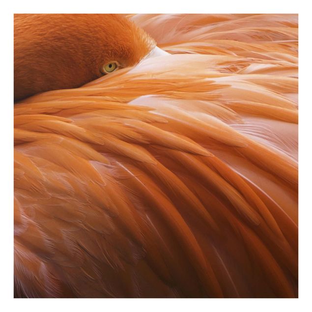 Glass print - Flamingo Feathers