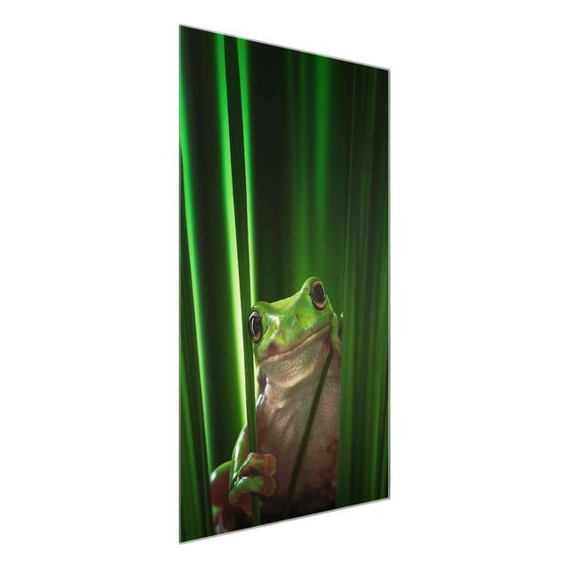 Glass print - Merry Frog