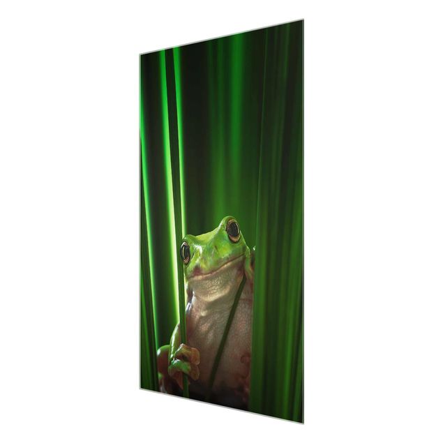 Glass print - Merry Frog