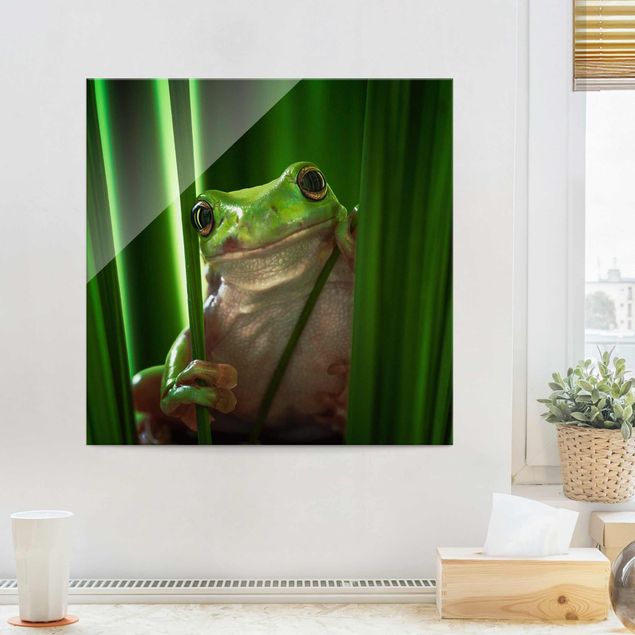 Magnettafel Glas Merry Frog