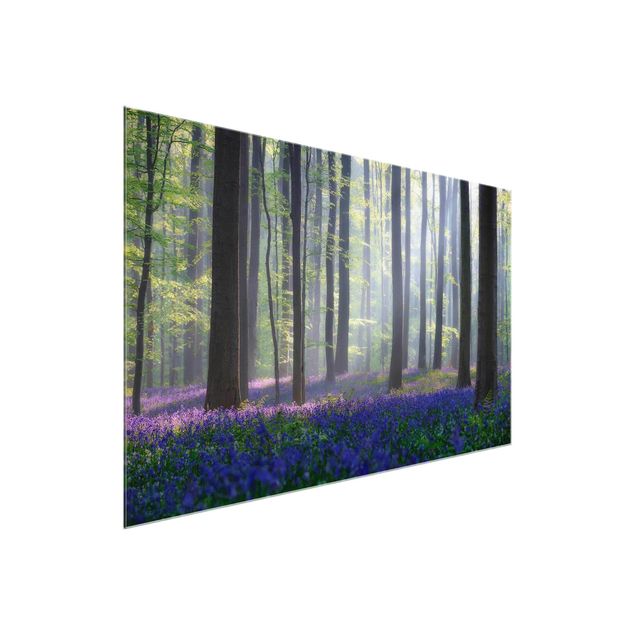 Glass print - Spring Day In The Forest
