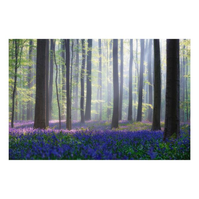 Glass print - Spring Day In The Forest
