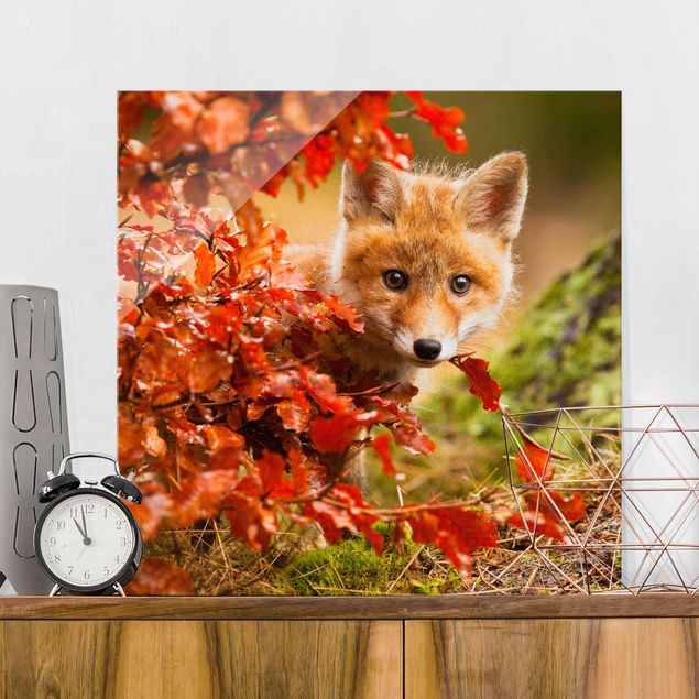 Glas Magnettafel Fox In Autumn