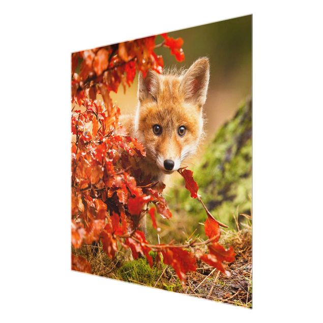 Glass print - Fox In Autumn