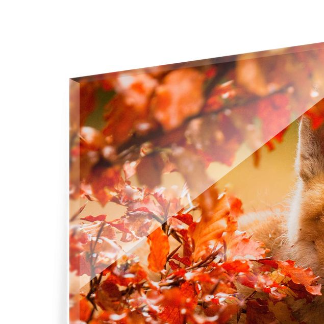 Glass print - Fox In Autumn