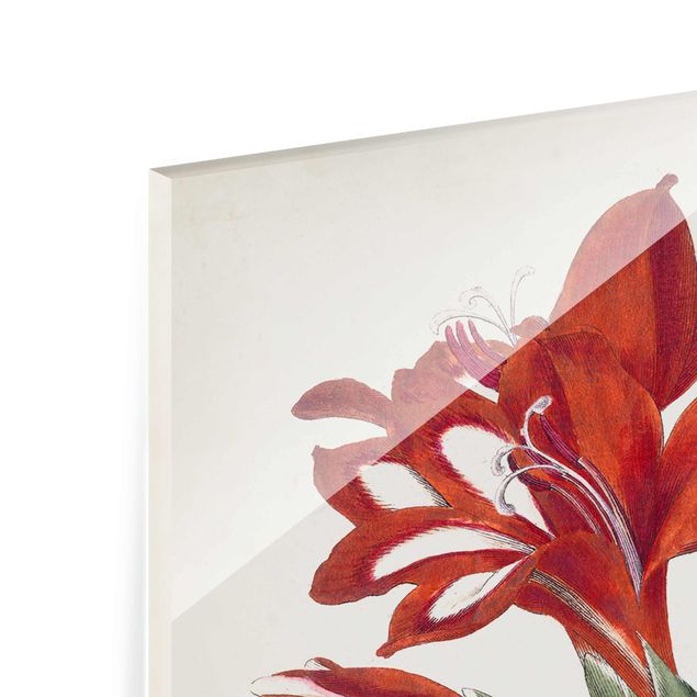 Glass print - Garden Beauty VI