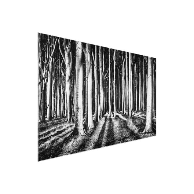 Glass print - Spooky Forest