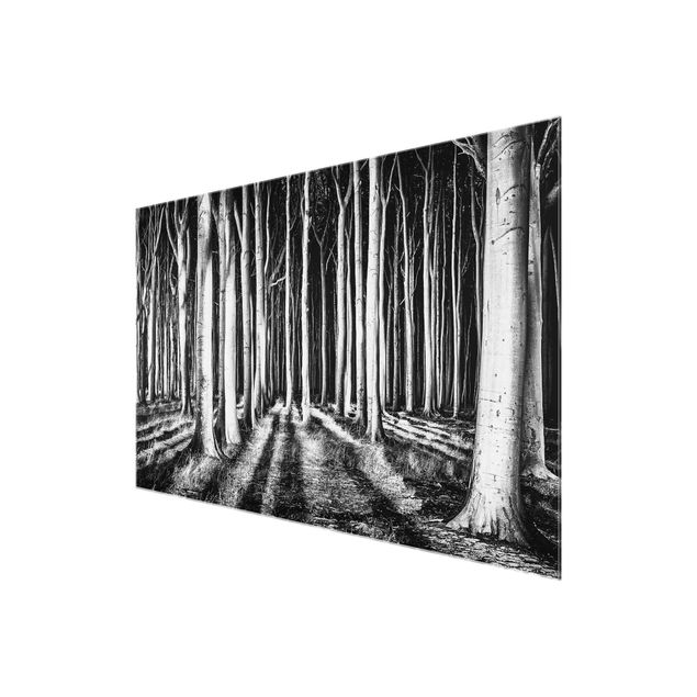 Glass print - Spooky Forest