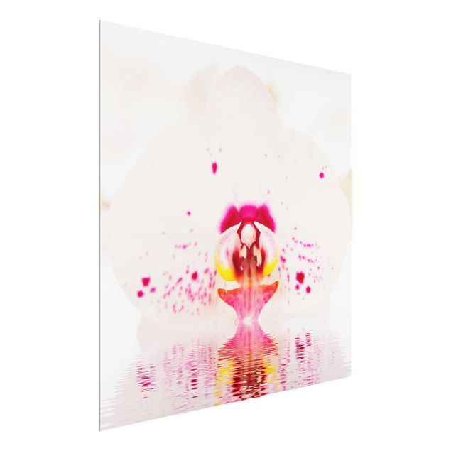Glass print - Dotted Orchid On Water