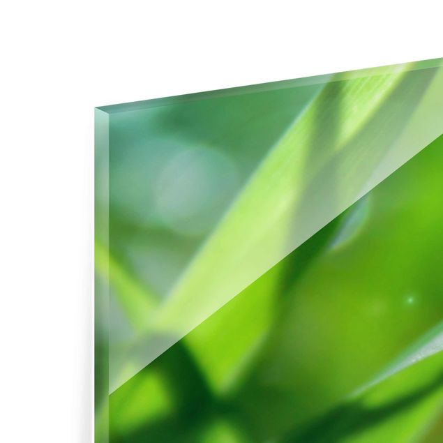 Glass print - Green Ambiance II