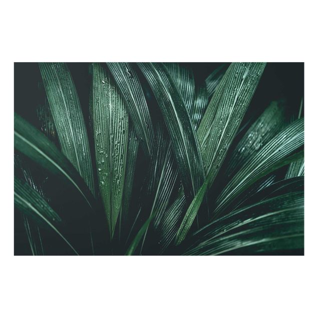 Glass print - Green Palm Leaves