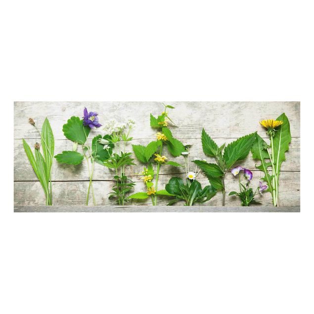 Glass print - Medicinal and Meadow Herbs
