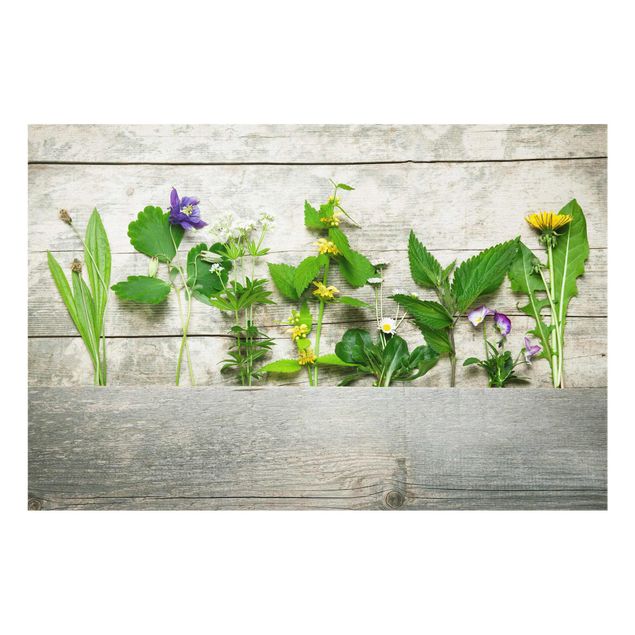 Glass print - Medicinal and Meadow Herbs