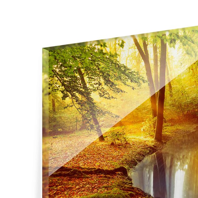 Glass print - Autumn Forest