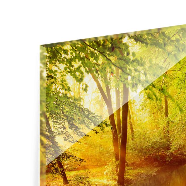 Glass print - Autumn Forest