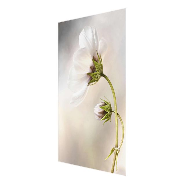 Glass print - Heavenly Flower Dream