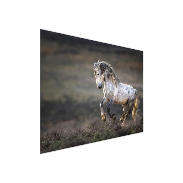 Glass print - Galloping Through The Heather