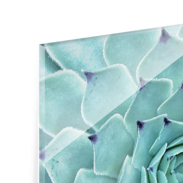 Glass print - Cactus Agave