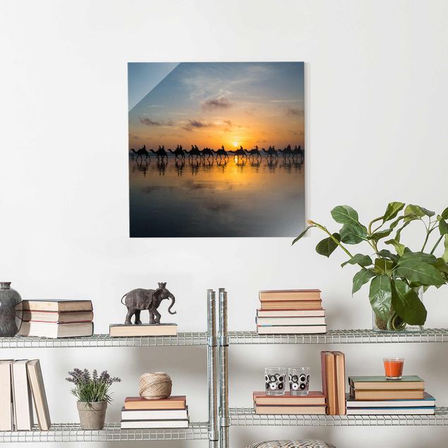Glass print - Camels in the sunset