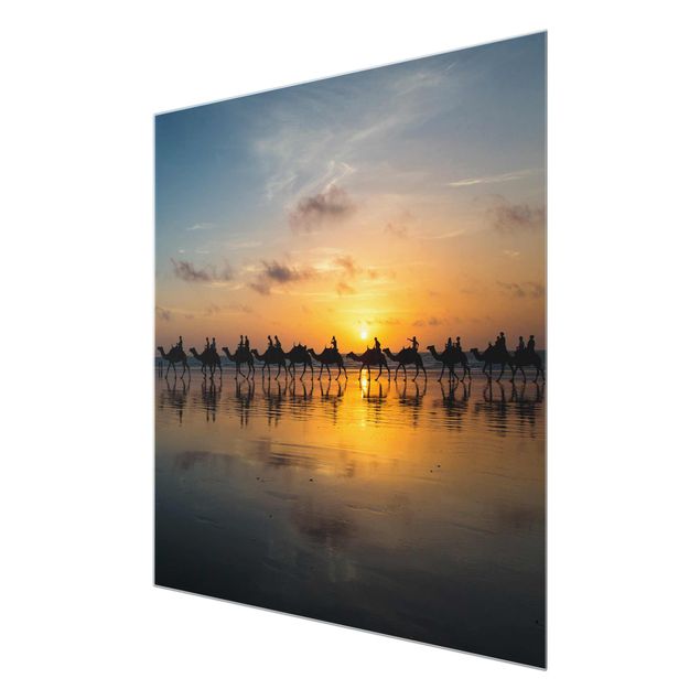Glass print - Camels in the sunset