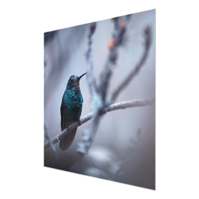 Glass print - Hummingbird In Winter