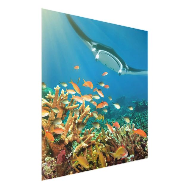 Glass print - Coral reef
